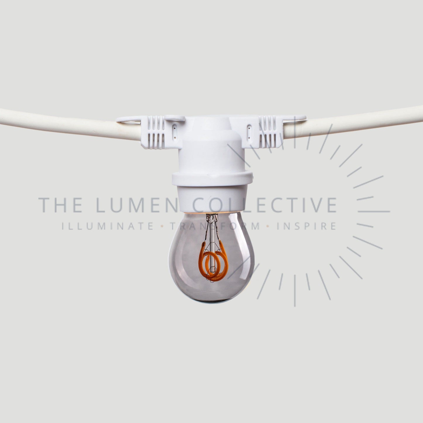 Outdoor Festoon Lights - White - Surface Mount - Pygmy Smokey