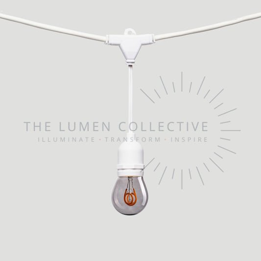 Outdoor Festoon Lights - White - Suspended Mount - Pygmy Smokey