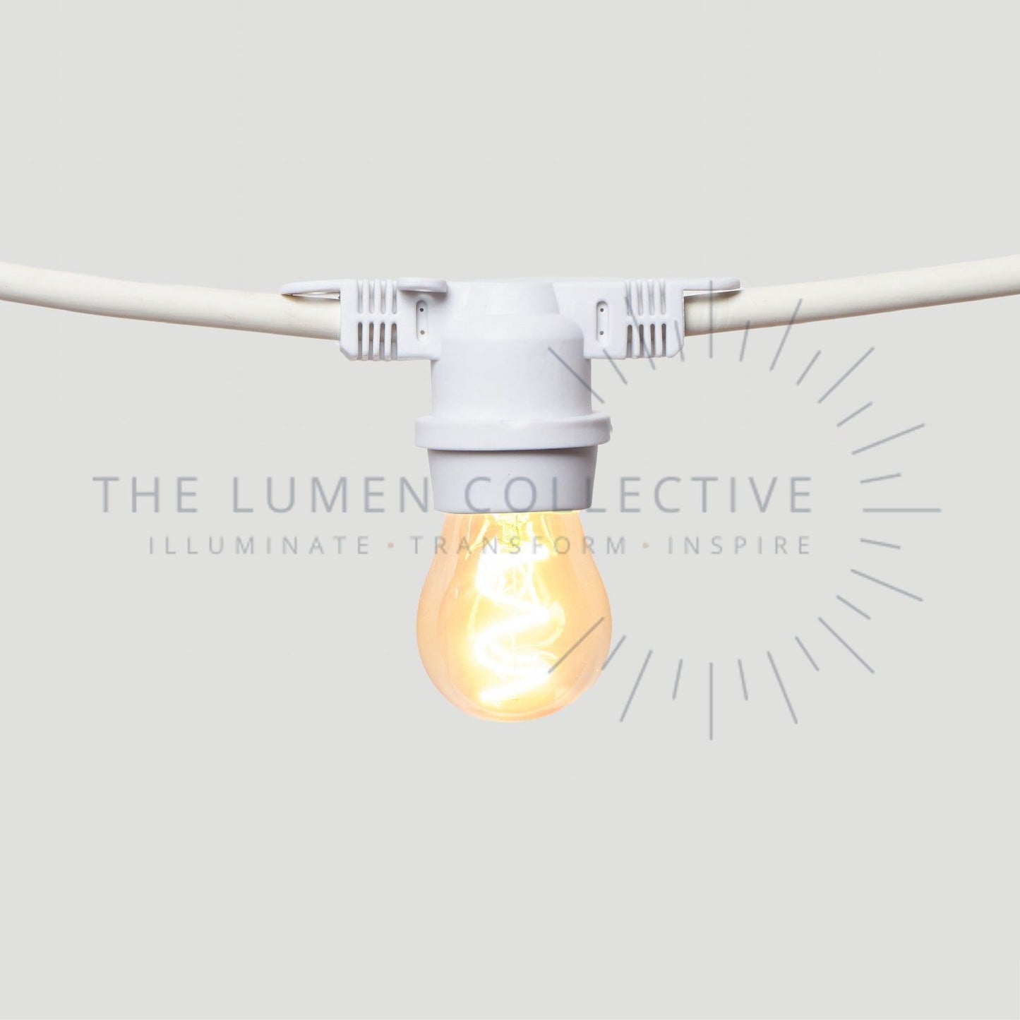 Outdoor Festoon Lights - White - Surface Mount - Pawn Amber