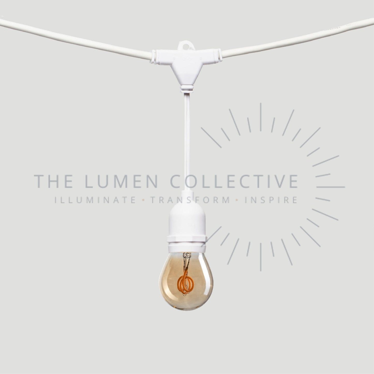 Outdoor Festoon Lights - White - Suspended Mount - Pygmy Amber
