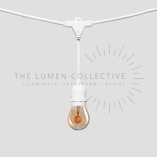 Outdoor Festoon Lights - White - Suspended Mount - Pygmy Amber