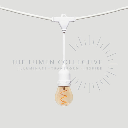 Outdoor Festoon Lights - White - Suspended Mount - Pawn Amber