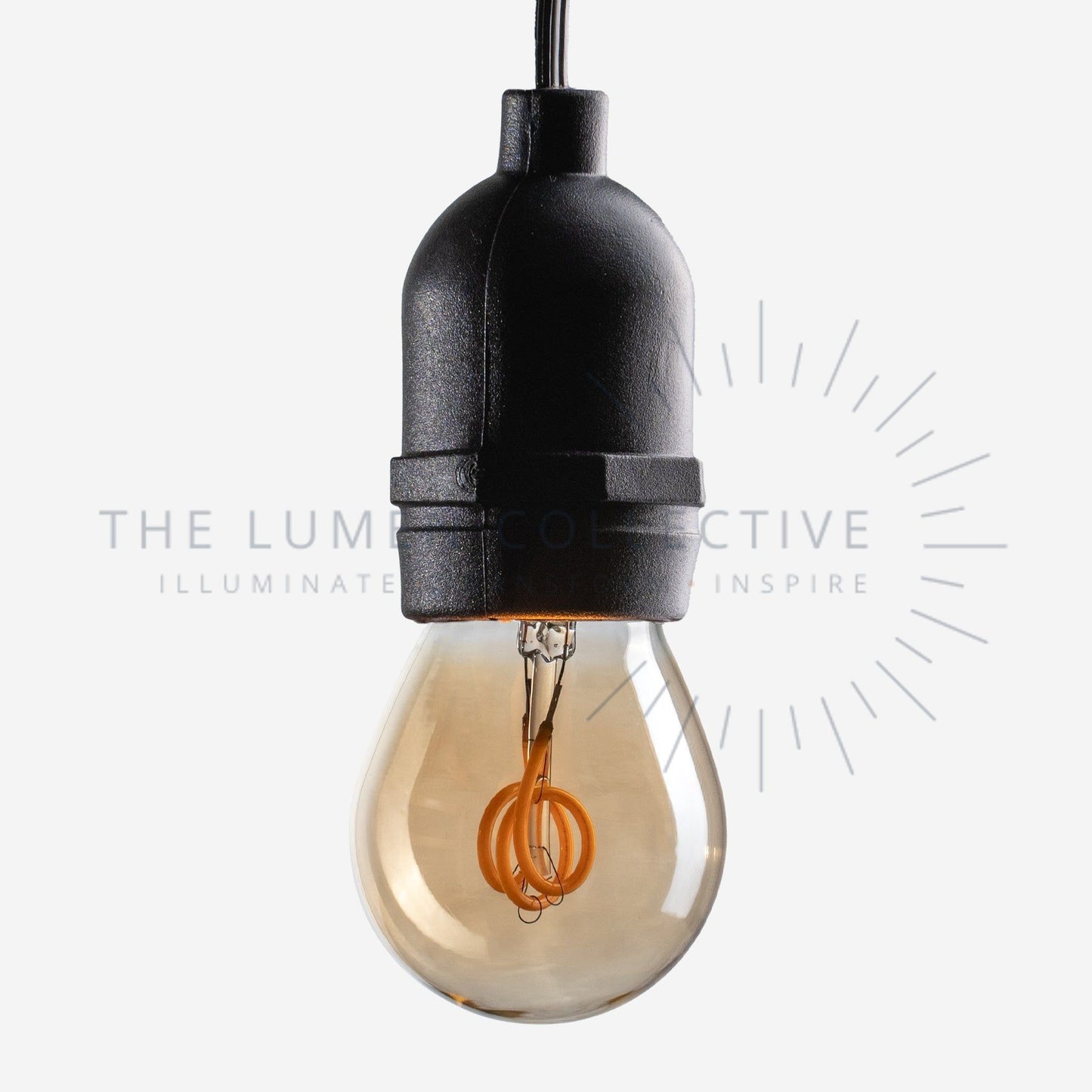 The Pygmy - Filament - Amber