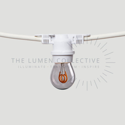 The Pygmy - Filament - Smokey