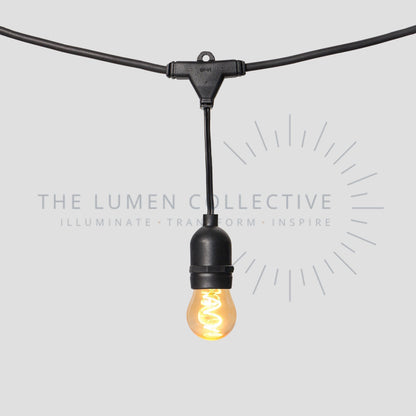 Outdoor Festoon Lights - Black - Suspended Mount - Pawn Amber