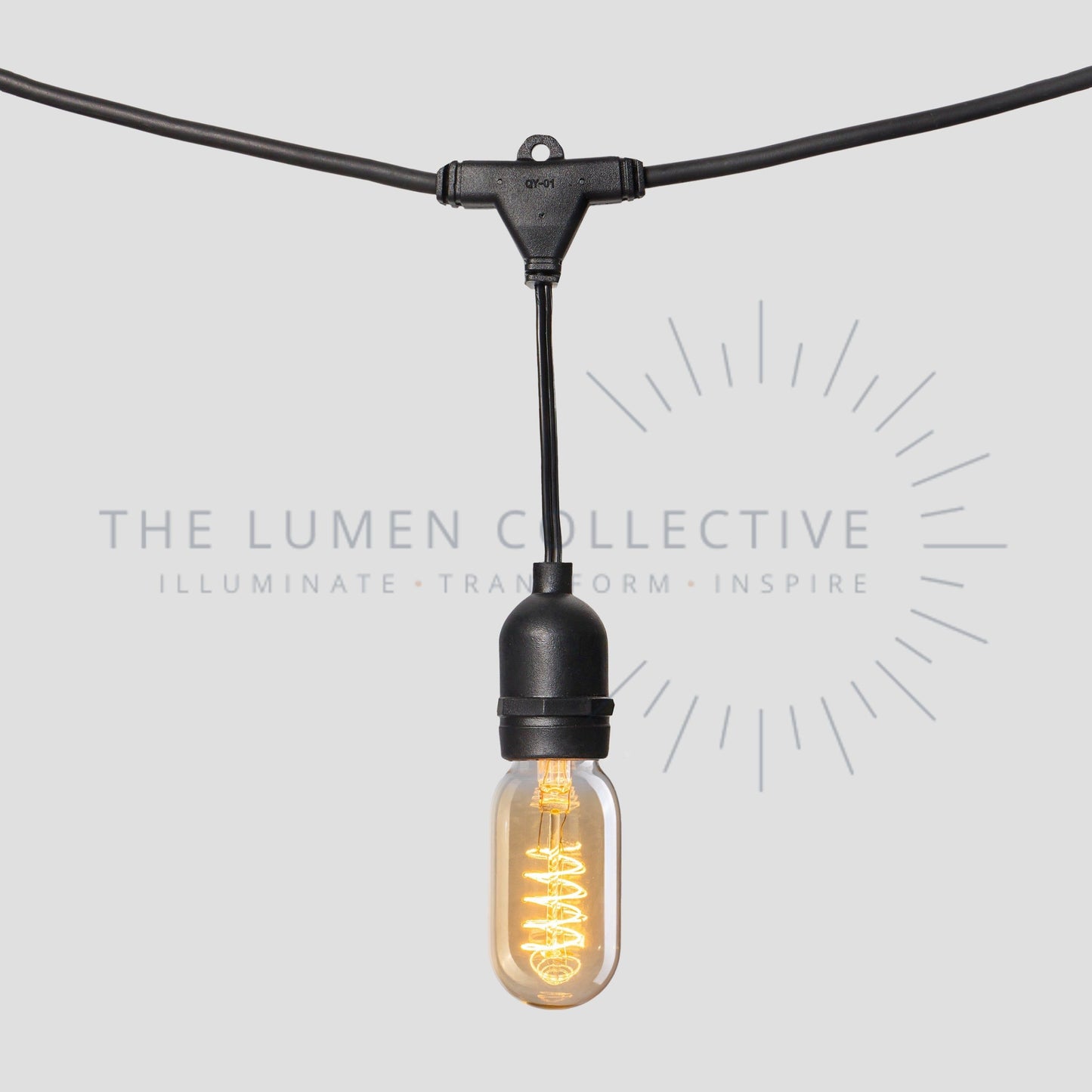 Outdoor Festoon Lights - Black - Suspended Mount - Valve Amber