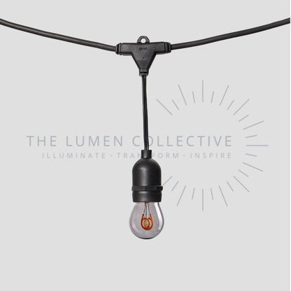 Outdoor Festoon Lights - Black - Suspended Mount - Pygmy Smokey
