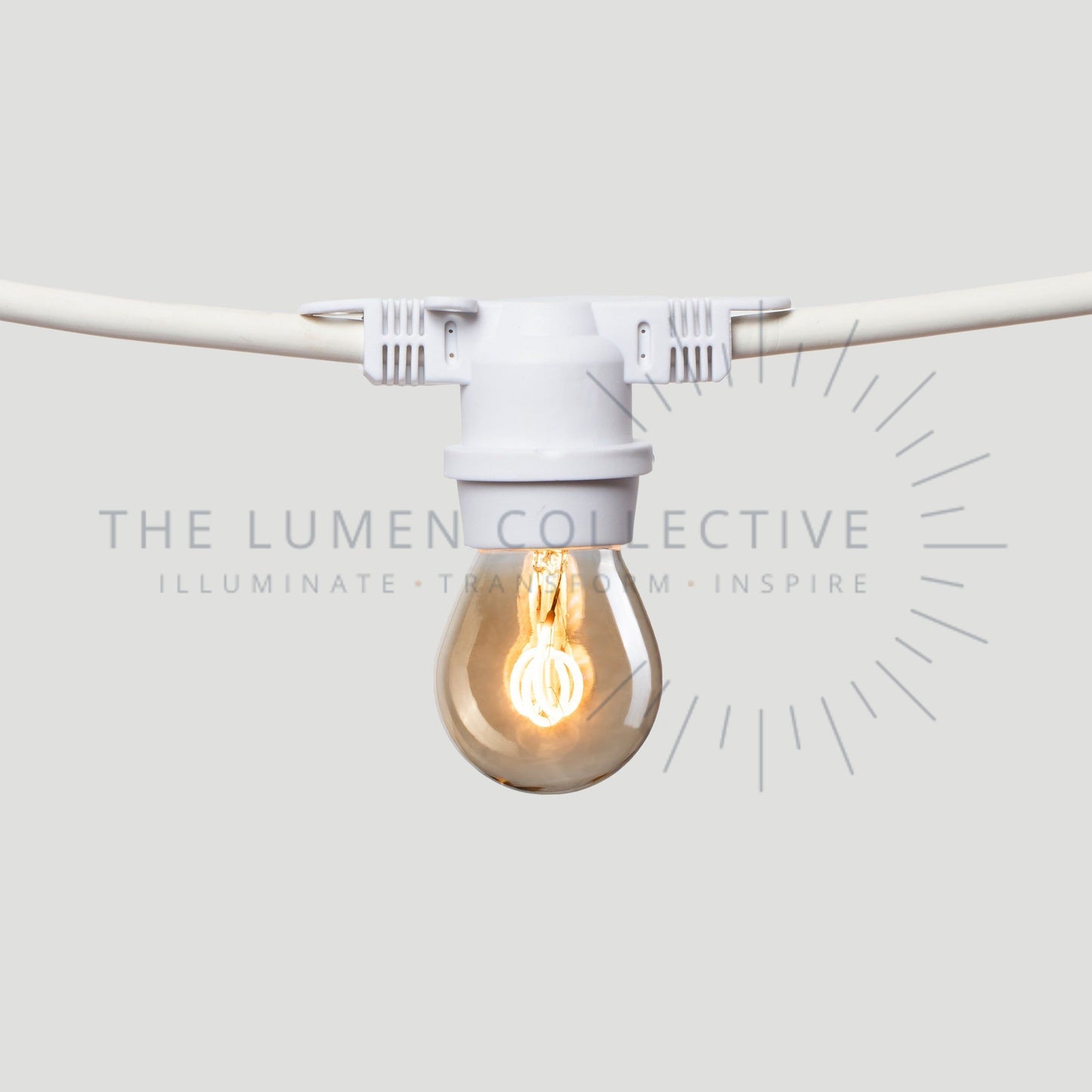 Outdoor Festoon Lights - White - Surface Mount - Pygmy Amber