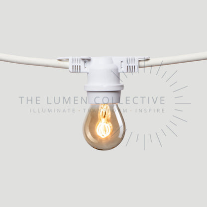 Outdoor Festoon Lights - White - Surface Mount - Pygmy Amber