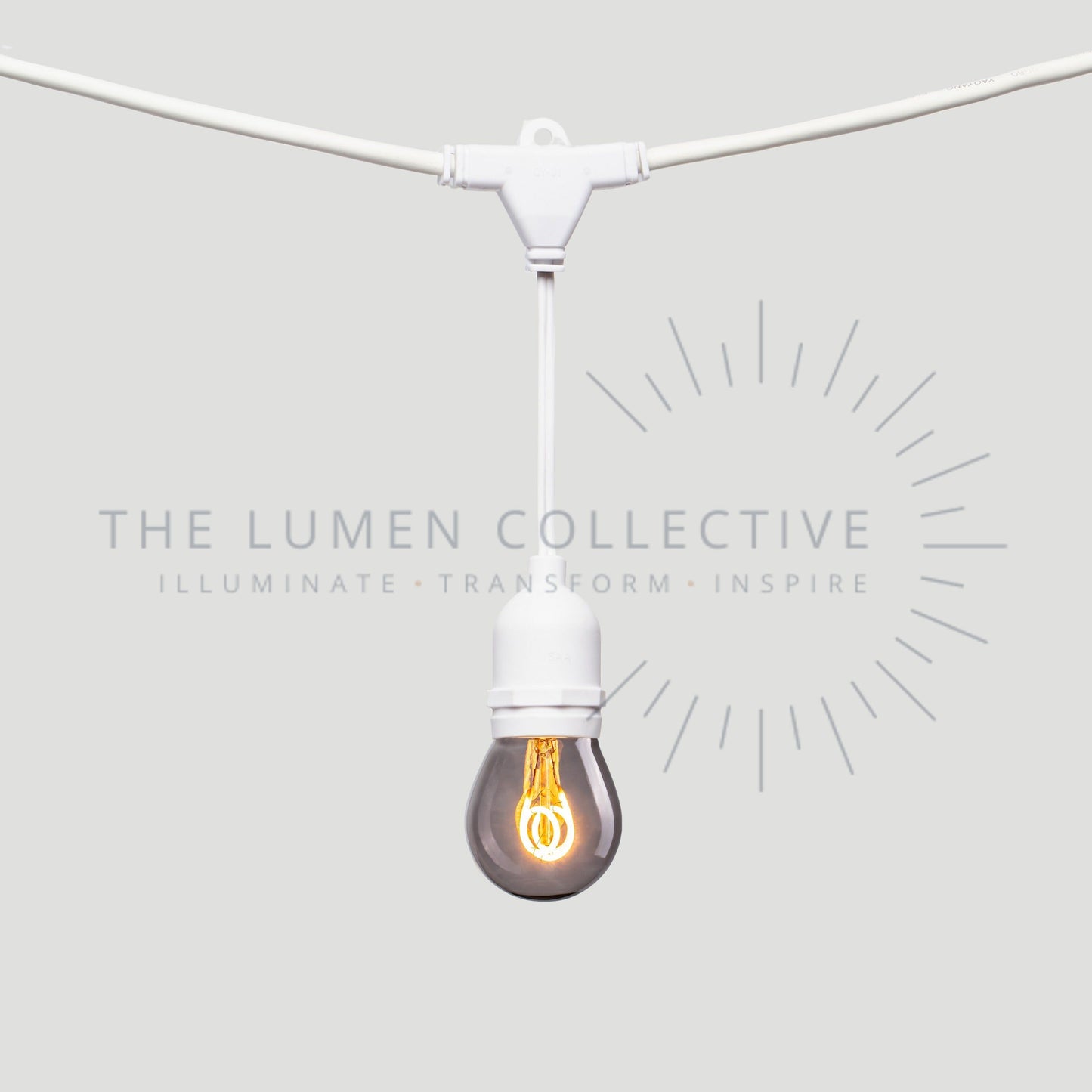 Outdoor Festoon Lights - White - Suspended Mount - Pygmy Smokey