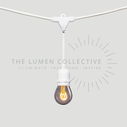 Outdoor Festoon Lights - White - Suspended Mount - Pygmy Smokey