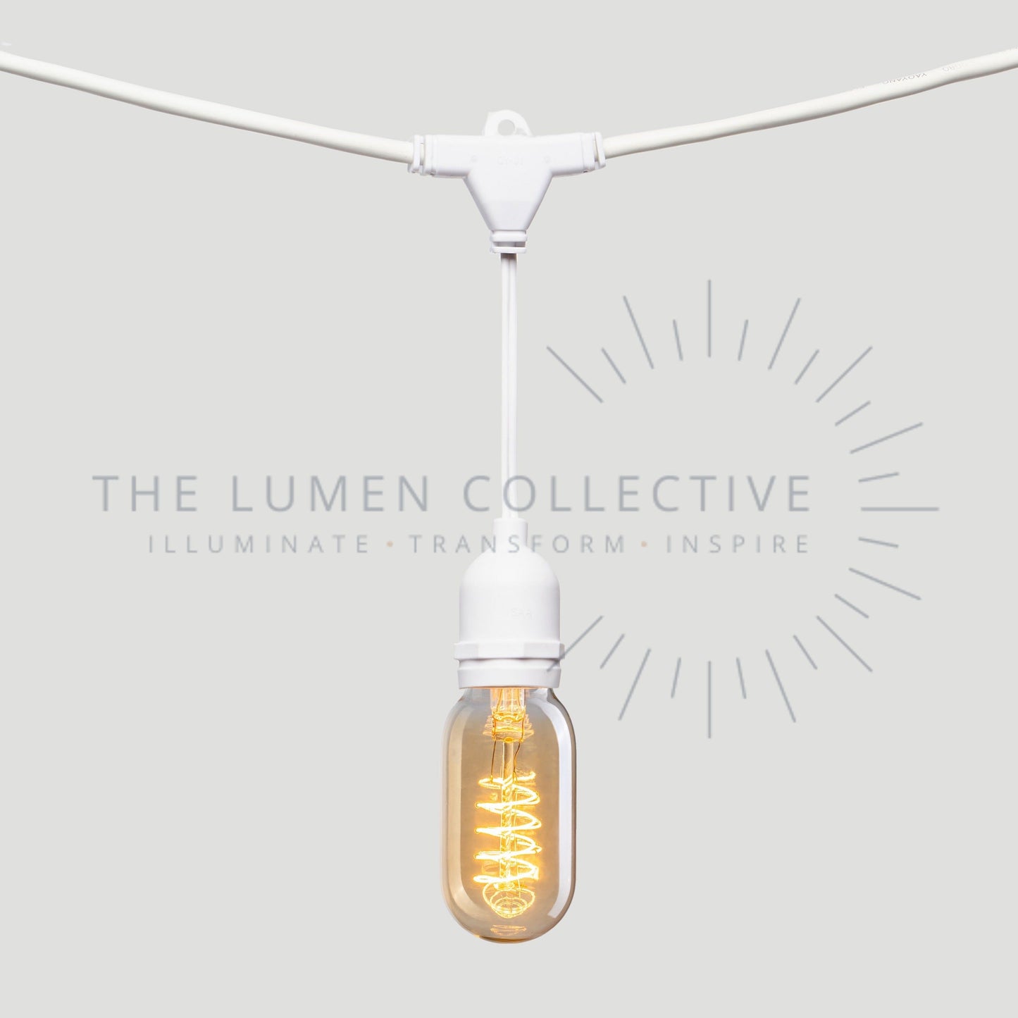 Outdoor Festoon Lights - White - Suspended Mount - Valve Amber
