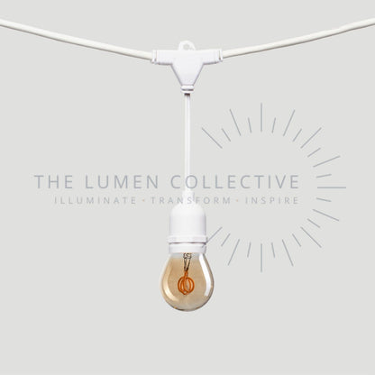 Outdoor Festoon Lights - White - Suspended Mount - Pygmy Amber
