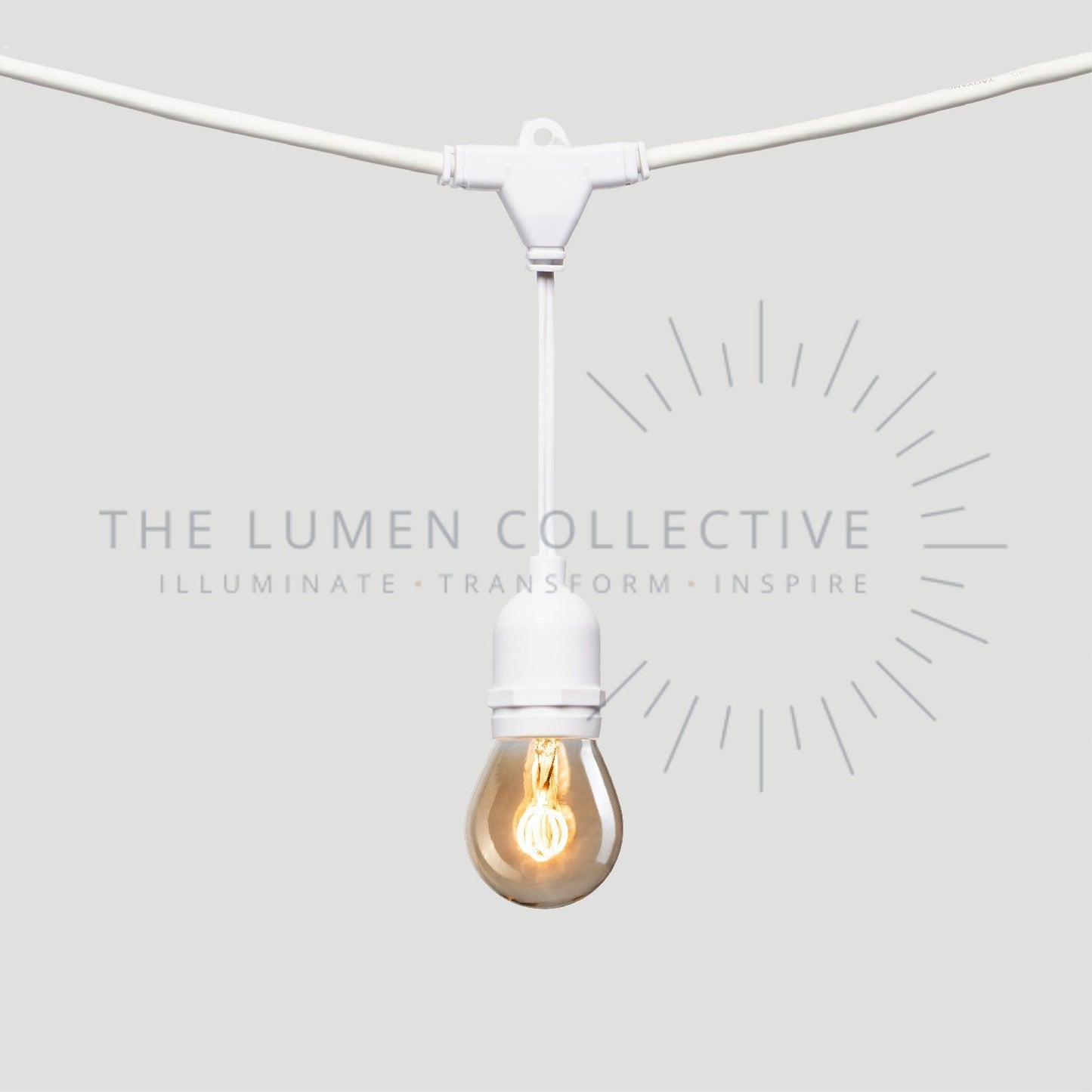 Outdoor Festoon Lights - White - Suspended Mount - Pygmy Amber