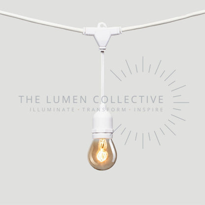 Outdoor Festoon Lights - White - Suspended Mount - Pygmy Amber