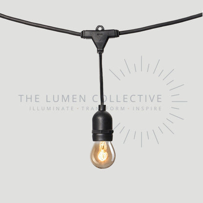 Outdoor Festoon Lights - Black - Suspended Mount - Pygmy Amber