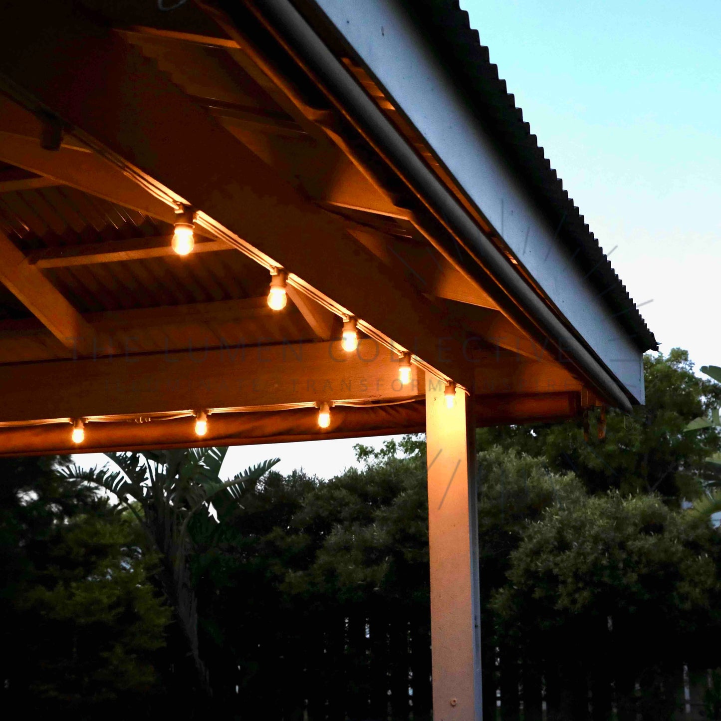 Outdoor Festoon Loom - Black - Surface Mount - Lamp Free