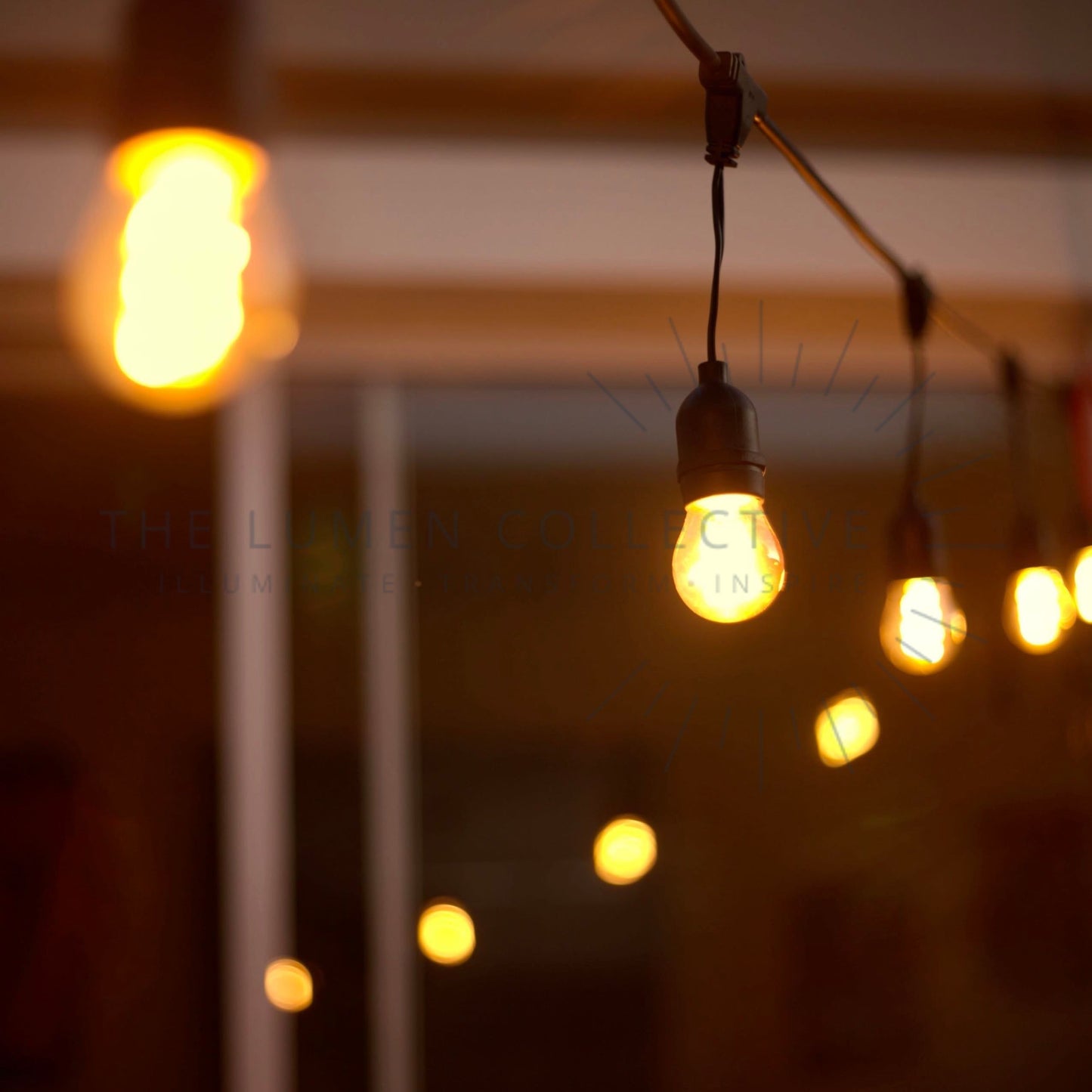 Outdoor Festoon Loom - White - Suspended Mount - Lamp Free