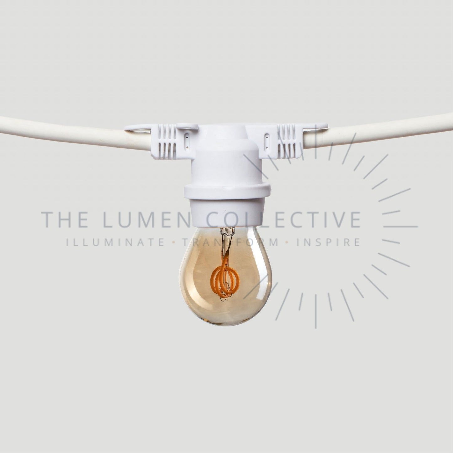 Outdoor Festoon Lights - White - Surface Mount - Pygmy Amber