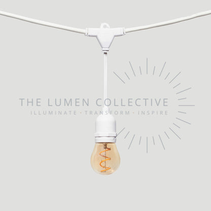 Outdoor Festoon Lights - White - Suspended Mount - Pawn Amber